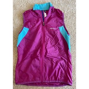 Patagonia Purple and Blue Vest